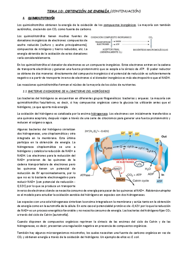 Miniatura del documento TEMA-10.pdf