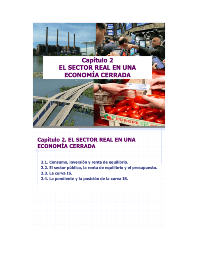 Miniatura del documento Tema-2-El-Sector-Real-en-una-Economia-Cerrada-.pdf