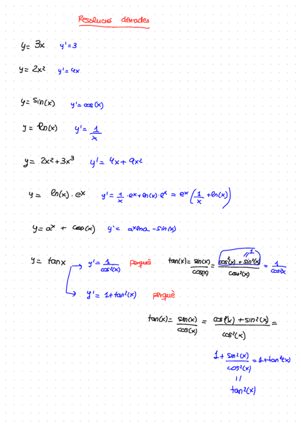 Miniatura del documento RESOLUCIO-DERIVADES.pdf