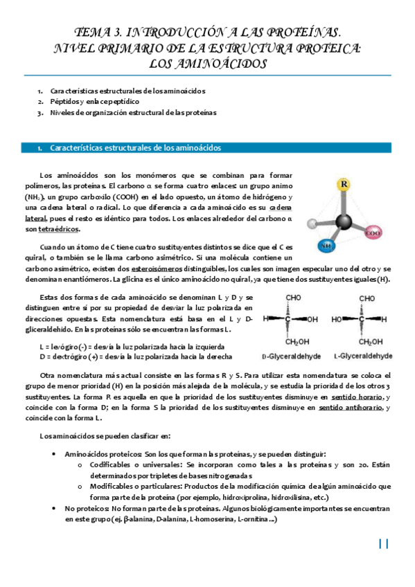 Miniatura del documento Tema 3 INTRODUCCION A LAS PROTEINAS.pdf