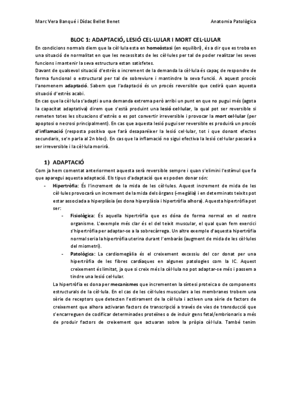 Miniatura del documento ANATOMIA-PATOLOGICA-1r-Parcial.pdf