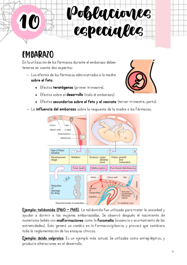 Miniatura del documento Tema-10.pdf