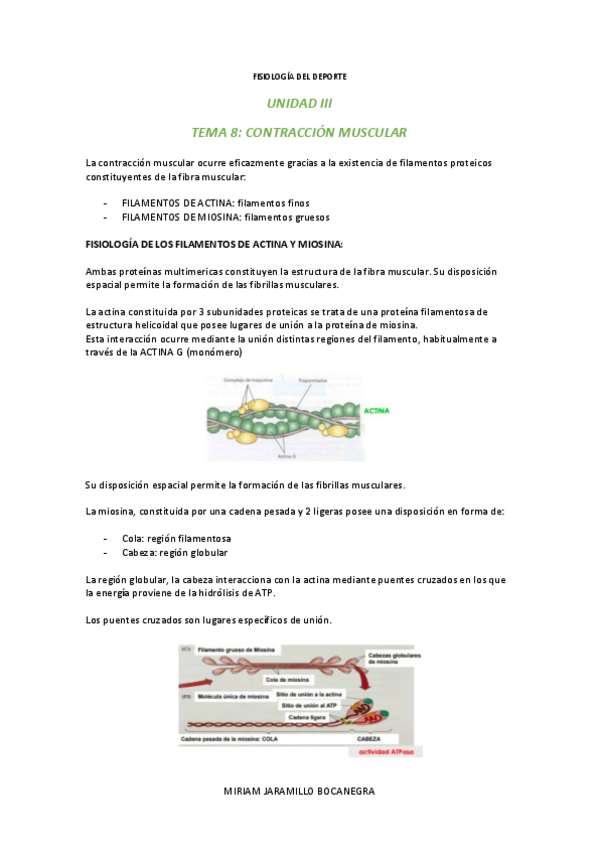 Miniatura del documento TEMA-8-FISIOLOGIA.pdf