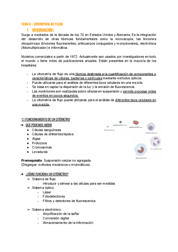 Miniatura del documento TEMA-8-2022.pdf