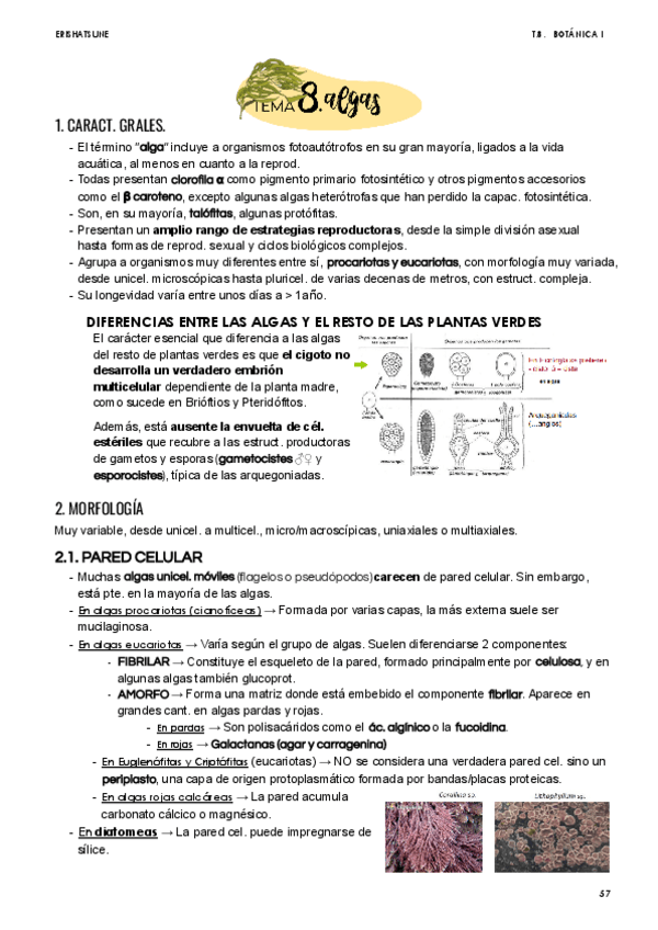 Miniatura del documento Tema-8.pdf