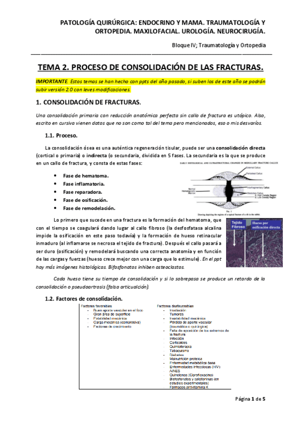 Miniatura del documento TEMA-2.pdf