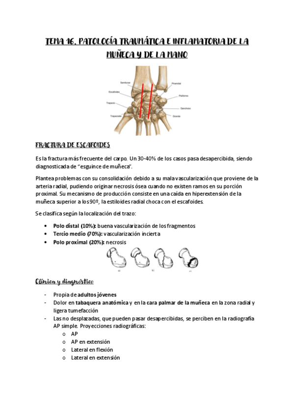 Miniatura del documento TEMA-16-AFMQ-I.pdf