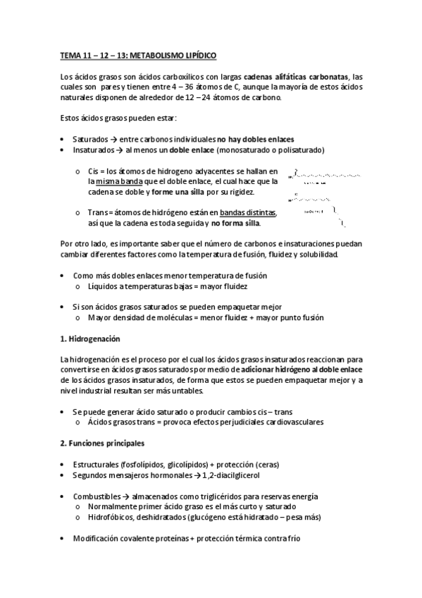 Miniatura del documento bioquimica II 2n parcial complet.pdf