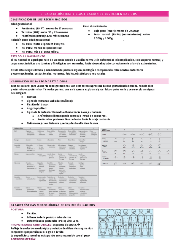 Miniatura del documento 3.pdf
