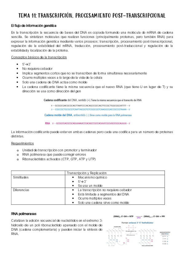 Miniatura del documento TEMA-11.pdf