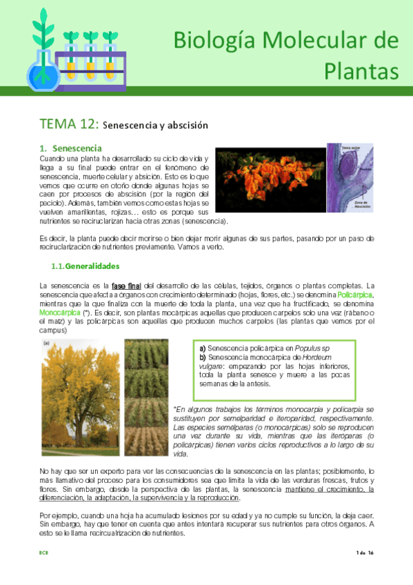 Miniatura del documento Tema-12-plantas.pdf