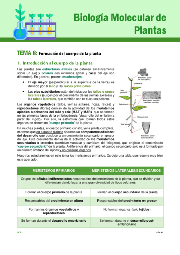 Miniatura del documento Tema-8-plantas.pdf