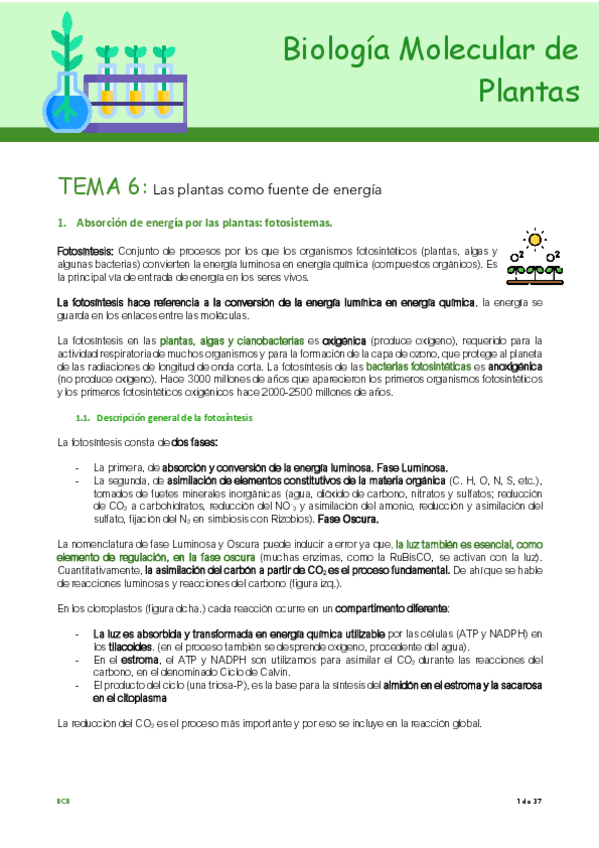 Miniatura del documento Tema-6-plantas.pdf