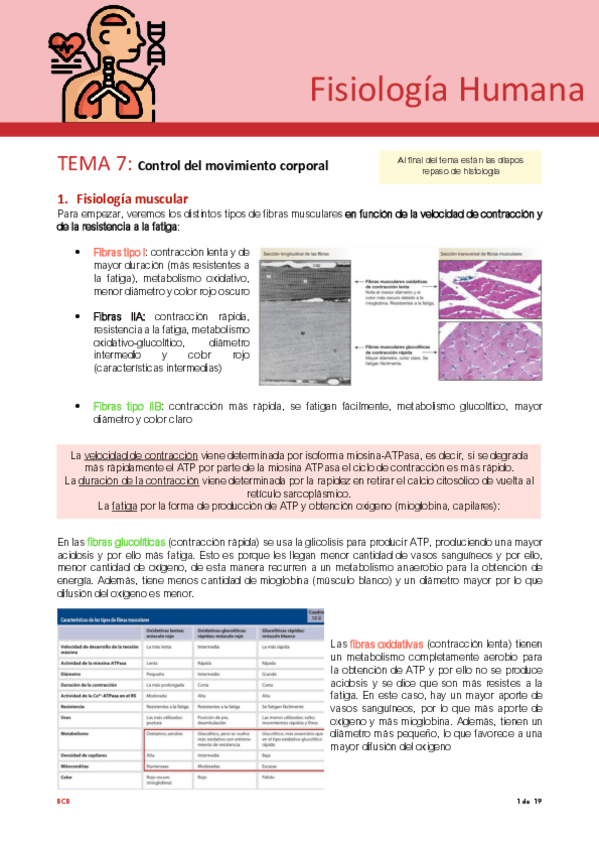 Miniatura del documento Tema-7-fisio.pdf