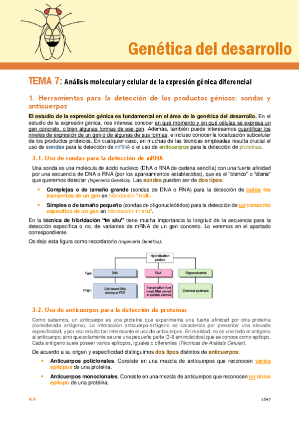 Miniatura del documento Tema-7-GD.pdf