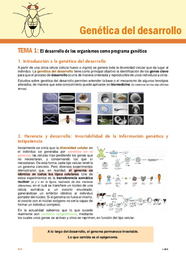 Miniatura del documento Tema-1-GD.pdf