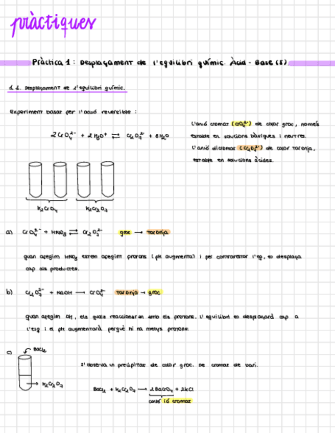 Miniatura del documento practiques-q.pdf