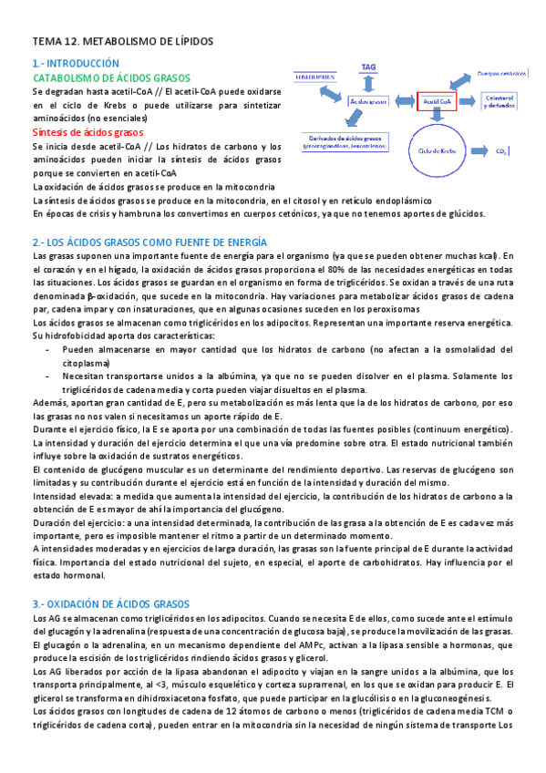 Miniatura del documento TEMA-12-BIOQUIMICA.pdf