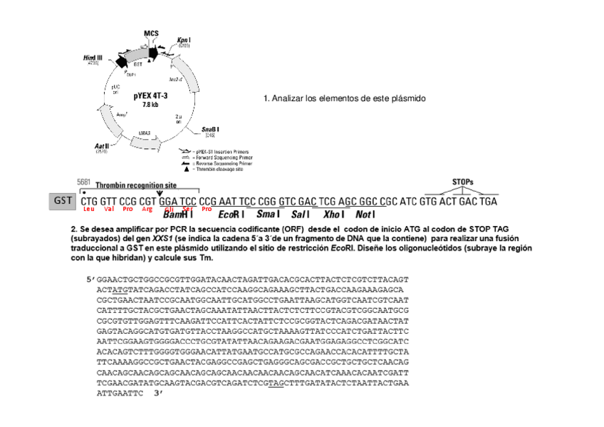 Miniatura del documento Resolucion Problemas BTFI 2015-16 campus.pdf