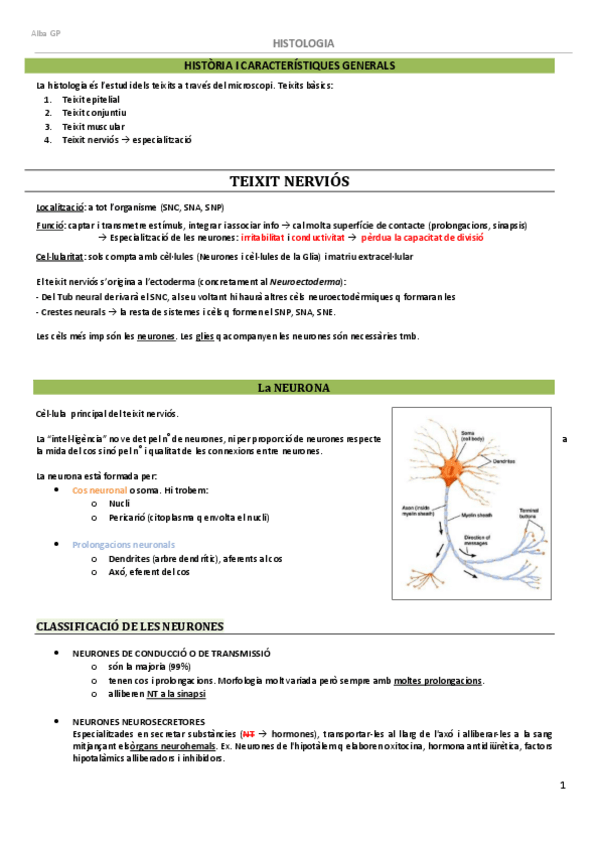 Miniatura del documento Histologia-del-SN-1r-parcial.pdf