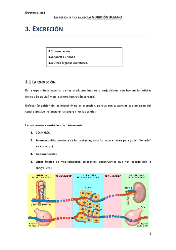 Miniatura del documento 3.pdf