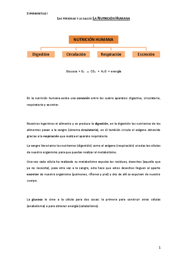 Miniatura del documento Nutricion-Humana-Digestion.pdf