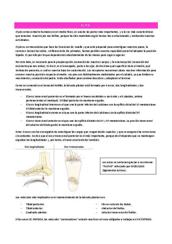 Miniatura del documento TEMA-16.pdf