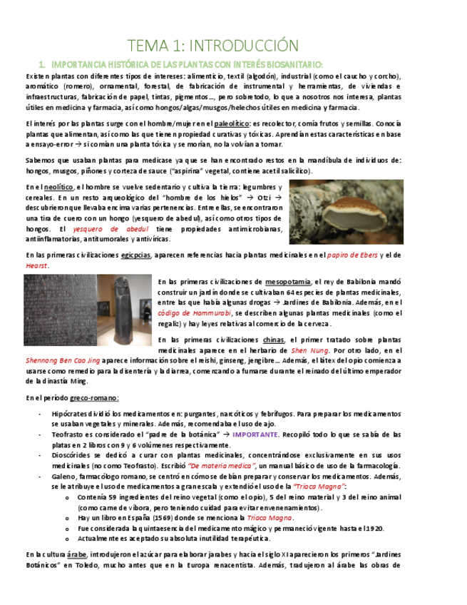 Miniatura del documento TEMA-1-Introduccion.pdf