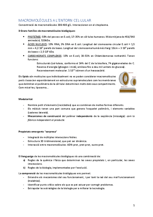 Miniatura del documento Macro-apunts-primer-bloc.pdf