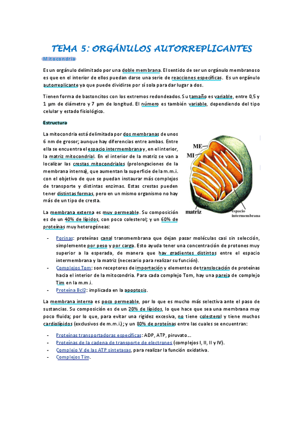 Miniatura del documento Biologia-celular-tema-5.pdf
