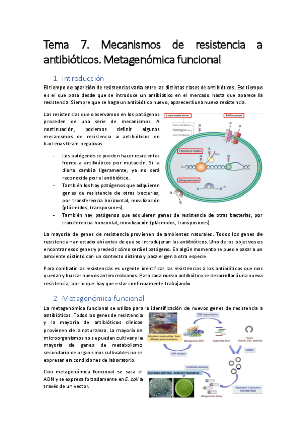 Miniatura del documento Tema-7.pdf