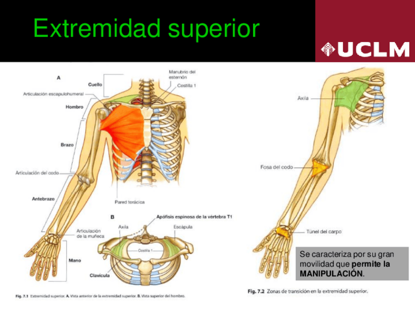Miniatura del documento 5.pdf