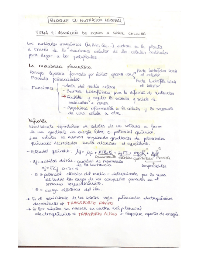 Miniatura del documento TEMAS-4-6.pdf