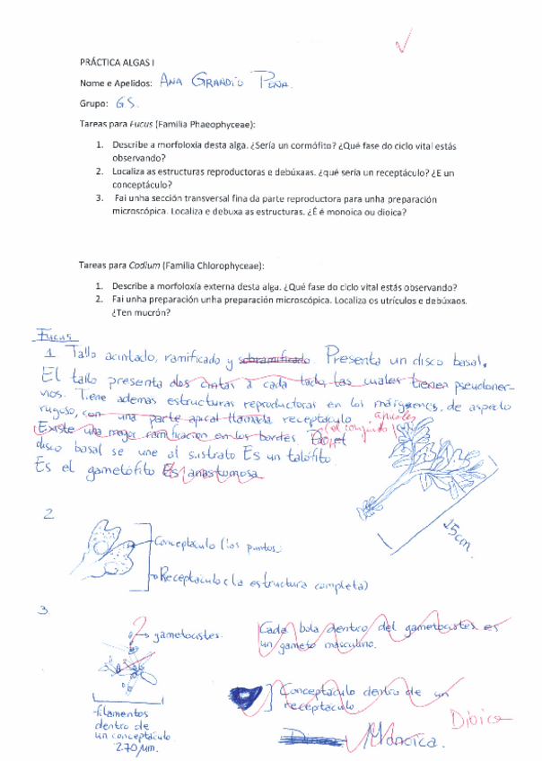 Miniatura del documento Practicas-Botanica-Algas.pdf