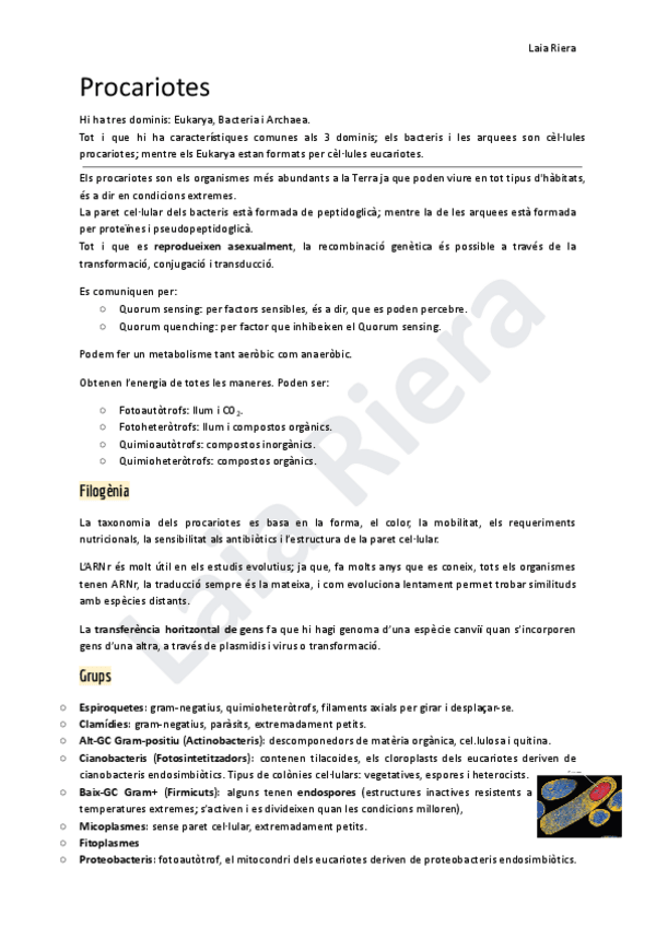 Miniatura del documento Tema-2-Procariotes.pdf