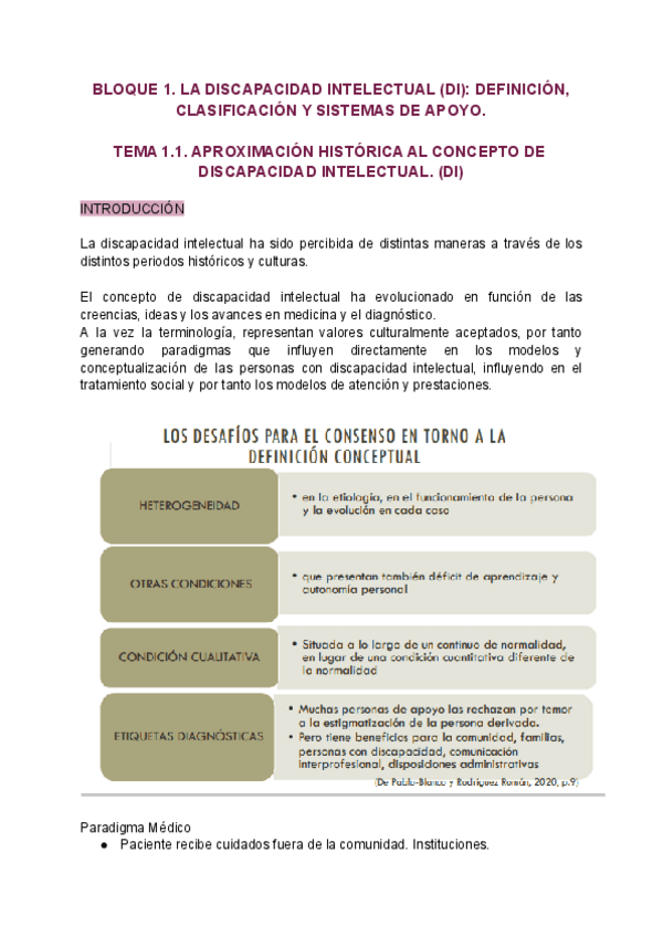 Miniatura del documento discapacidad-intelectual-Bloq-I.pdf