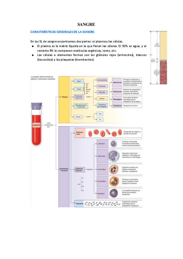 Miniatura del documento SANGRE.pdf