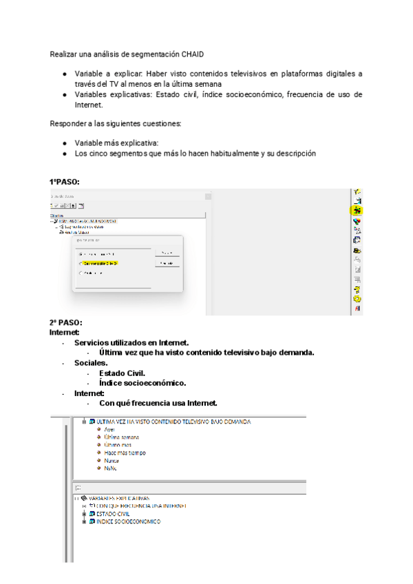 Miniatura del documento Ejercicio-10-Segmentacion-CHAID-Corregido-.pdf