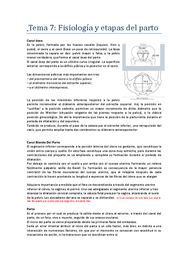 Miniatura del documento FISIOLOGIA-Y-ETAPAS-DEL-PARTO.pdf