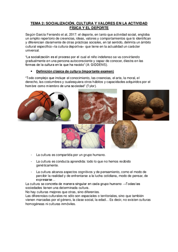 Miniatura del documento Tema-2-Sociologia-Nerea-Cadenas.pdf