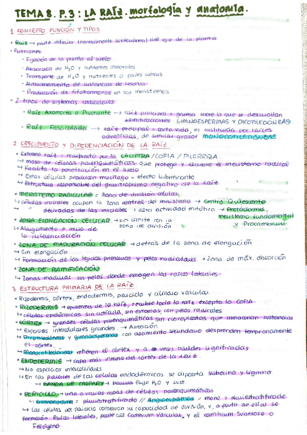 Miniatura del documento 2n-parcial-bio.pdf
