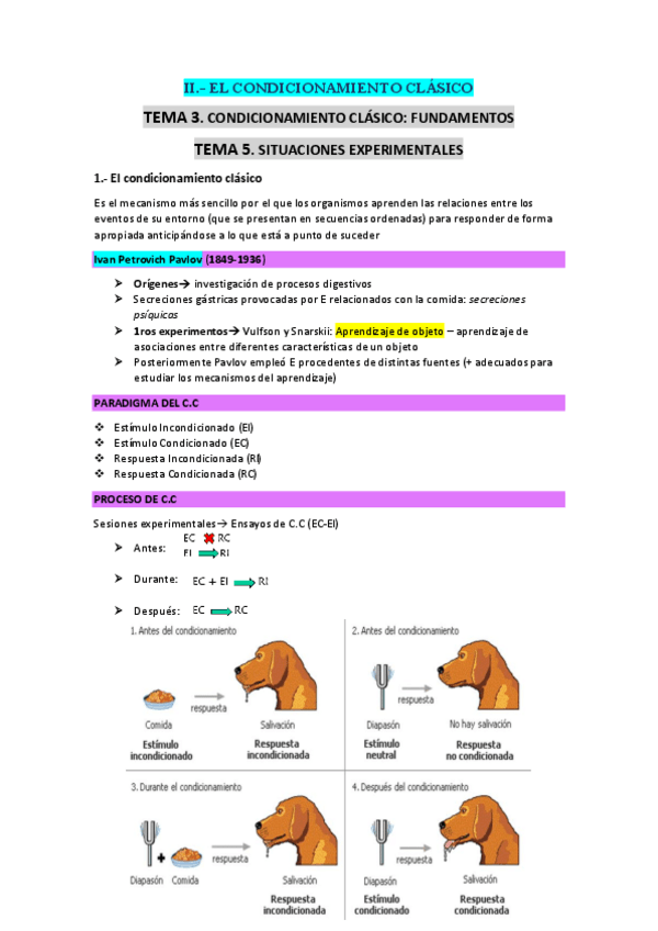 Miniatura del documento T3-y-T5-CC-y-situacion-experimental.pdf