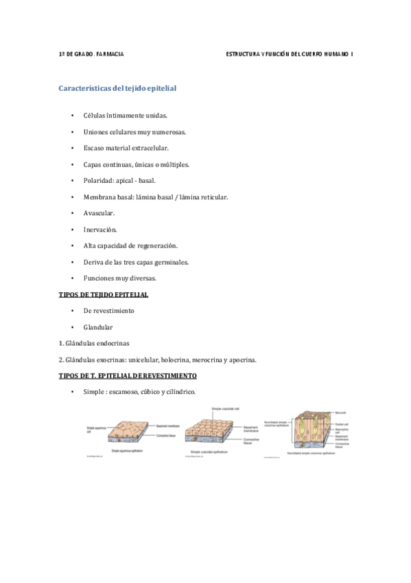 Miniatura del documento anat-ev-continua.pdf