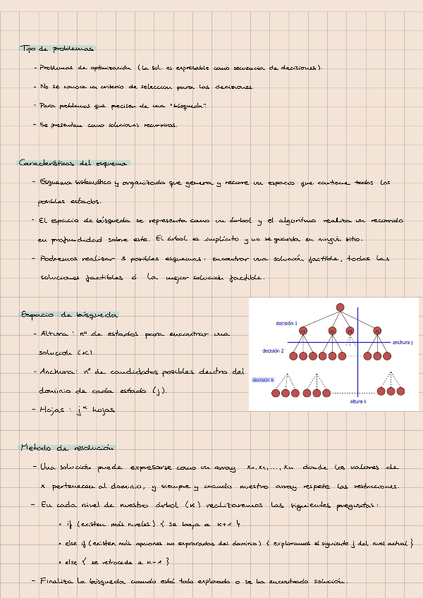 Miniatura del documento Tema-8-Esquema-backtracking.pdf