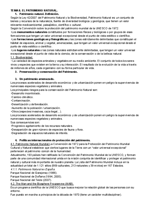 Miniatura del documento Patrimonio-8.pdf