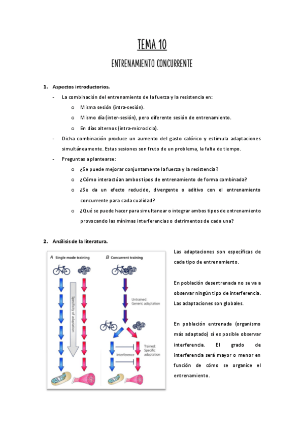 Miniatura del documento Tema-10.pdf