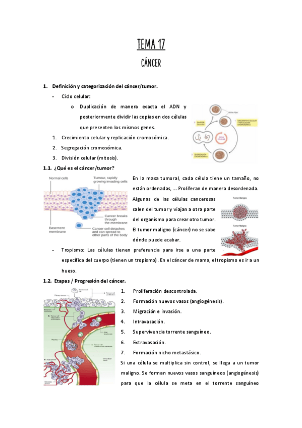 Miniatura del documento Tema-17.pdf