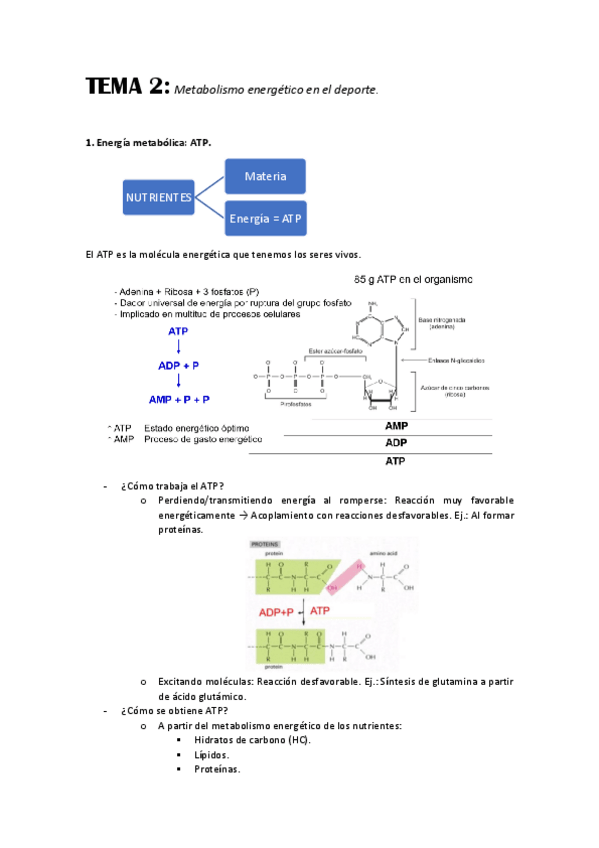 Miniatura del documento TEMA-2.pdf