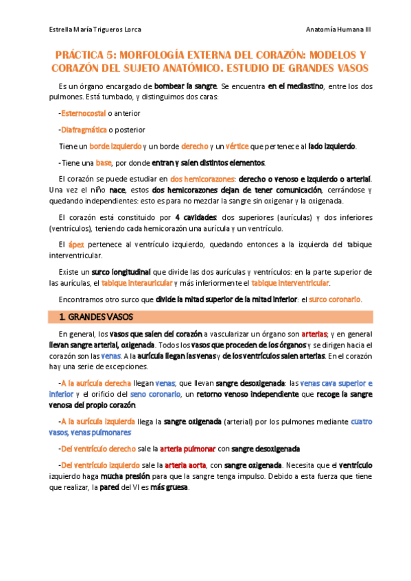 Miniatura del documento PRACTICA-5CORAZON-Y-GRANDES-VASOS.pdf