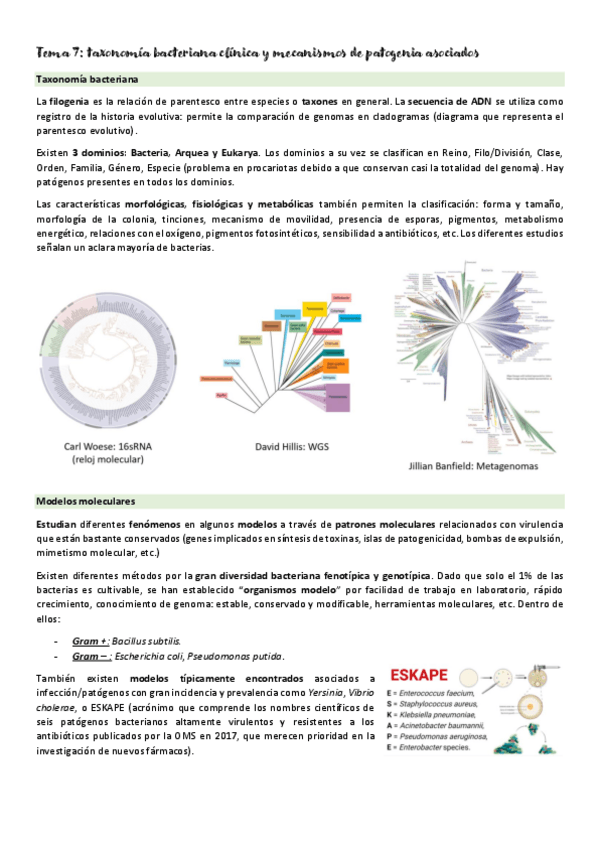 Miniatura del documento Micromed-T7-hasta-primer-parcial.pdf